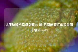 比亚迪股份早盘涨超3% 前4月新能源汽车销量同比增长46.98%