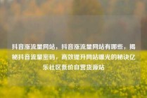 抖音涨流量网站，抖音涨流量网站有哪些，揭秘抖音流量密码，高效提升网站曝光的秘诀亿乐社区低价自营货源站