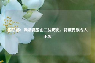国防部：赖清德歪曲二战历史，背叛民族令人不齿