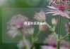 直客社区货源站