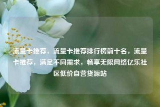 流量卡推荐，流量卡推荐排行榜前十名，流量卡推荐，满足不同需求，畅享无限网络亿乐社区低价自营货源站