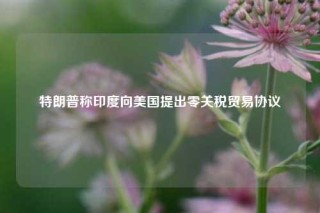 特朗普称印度向美国提出零关税贸易协议