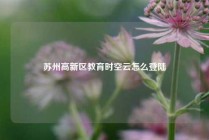 苏州高新区教育时空云怎么登陆