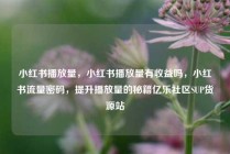 小红书播放量，小红书播放量有收益吗，小红书流量密码，提升播放量的秘籍亿乐社区SUP货源站