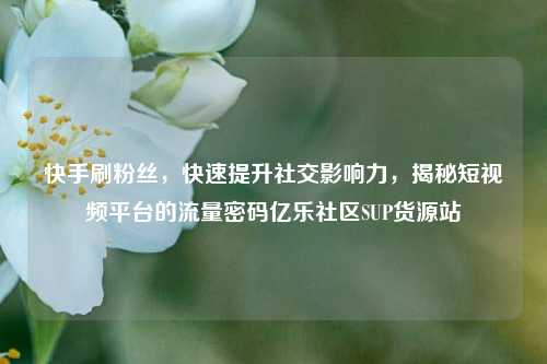 快手刷粉丝，快速提升社交影响力，揭秘短视频平台的流量密码亿乐社区SUP货源站  第1张
