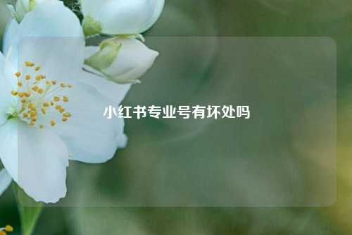 小红书专业号有坏处吗  第1张