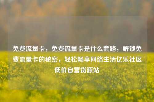 免费流量卡，免费流量卡是什么套路	，解锁免费流量卡的秘密，轻松畅享网络生活亿乐社区低价自营货源站  第1张