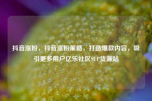 抖音涨粉，抖音涨粉策略，打造爆款内容	，吸引更多用户亿乐社区SUP货源站  第1张