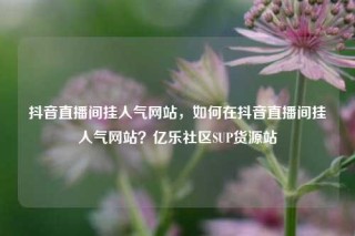 抖音直播间挂人气网站，如何在抖音直播间挂人气网站？亿乐社区SUP货源站
