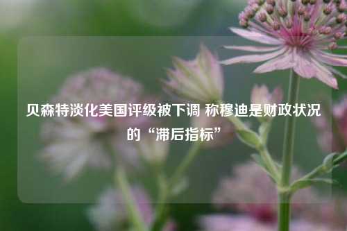 贝森特淡化美国评级被下调 称穆迪是财政状况的“滞后指标”  第1张