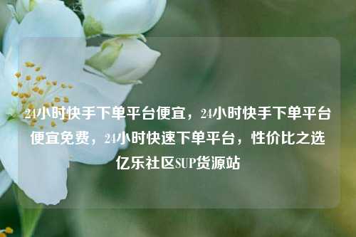 24小时快手下单平台便宜，24小时快手下单平台便宜免费，24小时快速下单平台	，性价比之选亿乐社区SUP货源站  第1张