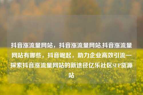 抖音涨流量网站	，抖音涨流量网站,抖音涨流量网站有哪些，抖音崛起，助力企业高效引流—探索抖音涨流量网站的新途径亿乐社区SUP货源站  第1张