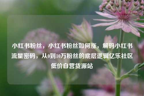 小红书粉丝，小红书粉丝如何涨，解码小红书流量密码	，从0到10万粉丝的底层逻辑亿乐社区低价自营货源站  第1张