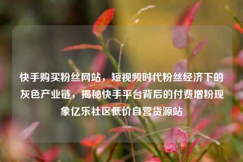 快手购买粉丝网站，短视频时代粉丝经济下的灰色产业链	，揭秘快手平台背后的付费增粉现象亿乐社区低价自营货源站  第1张